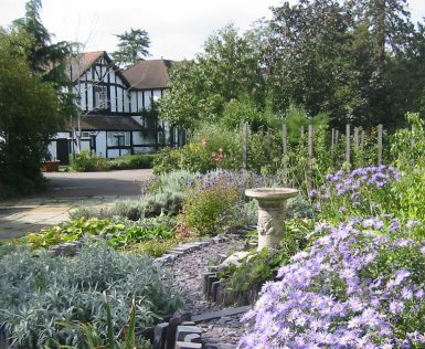 garden with cardinal clinic in background